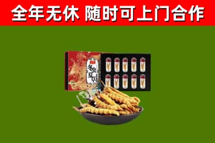 新竹回收冬虫夏草价格